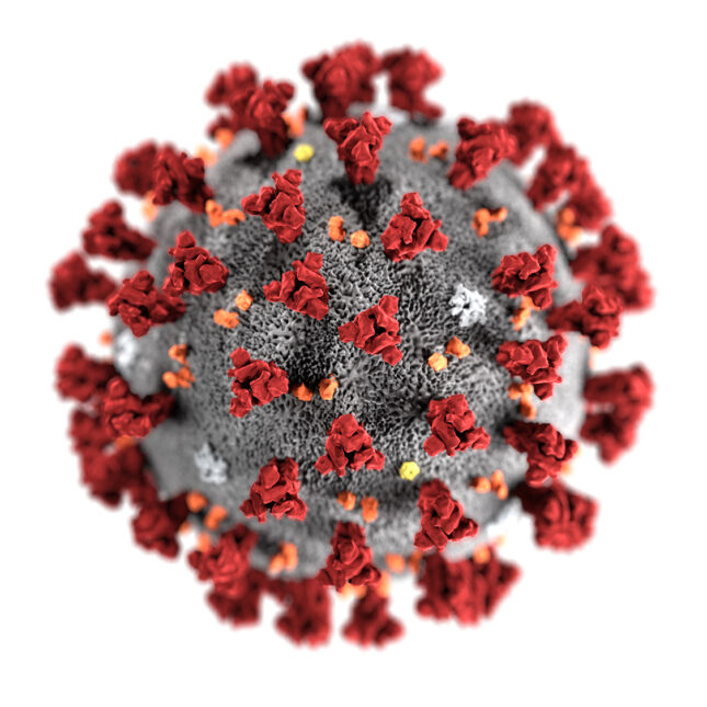 भारत में कोरोना वायरस के चिंताजनक प्रकारों के 771 मामले सामने आए