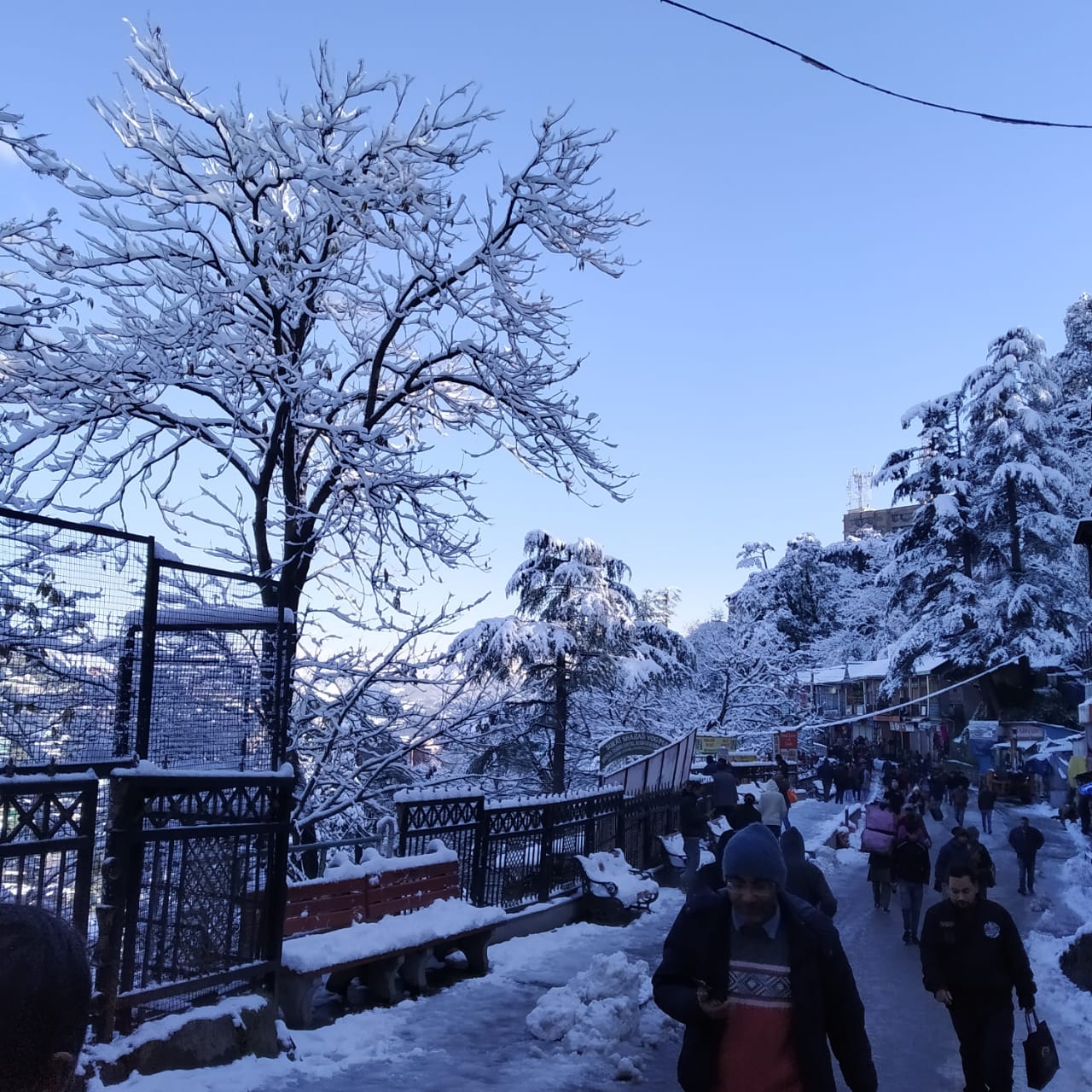शिमला में इस सर्दी की पहली बर्फबारी हुई